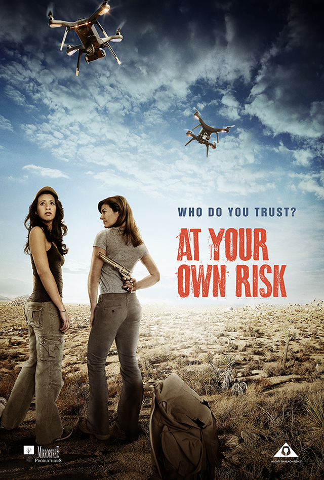 At Your Own Risk (2018)