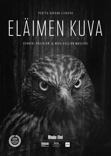 Eläimen kuva (2018)